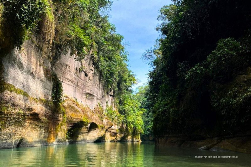 Llanos Orientales