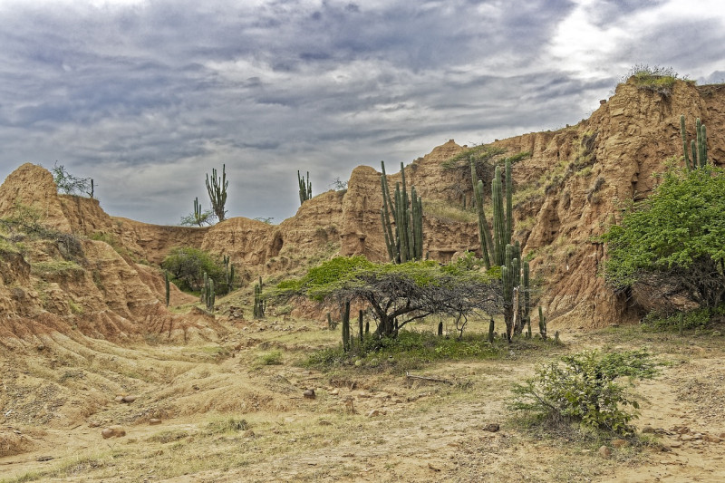 DESIERTO DE LA TATACOA STAR