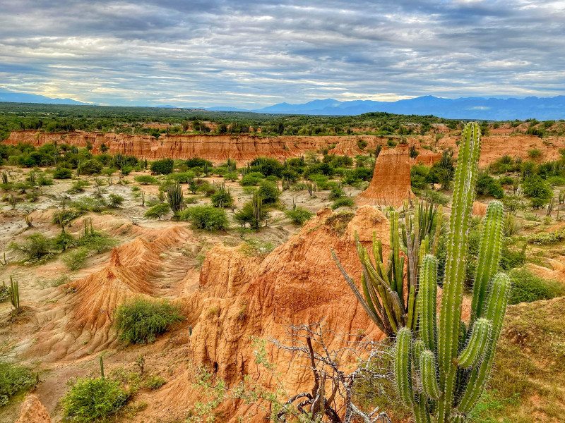 DESIERTO DE LA TATACOA STAR