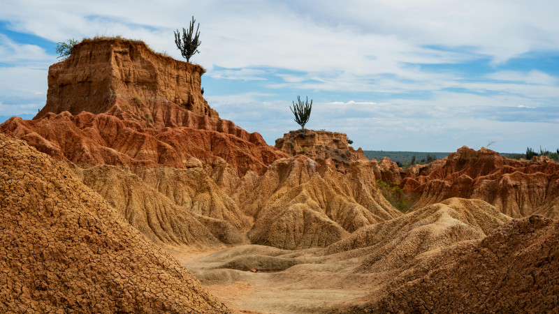 DESIERTO DE LA TATACOA STAR