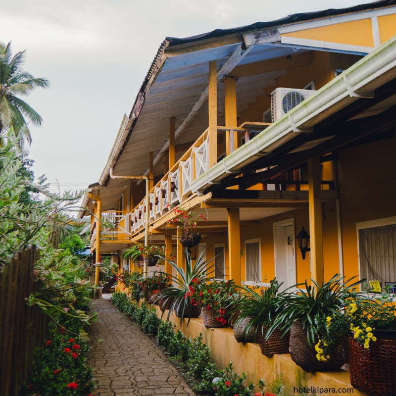 Bahía Solano - Plan De Avistamiento De Ballenas Ecolodge Kipará