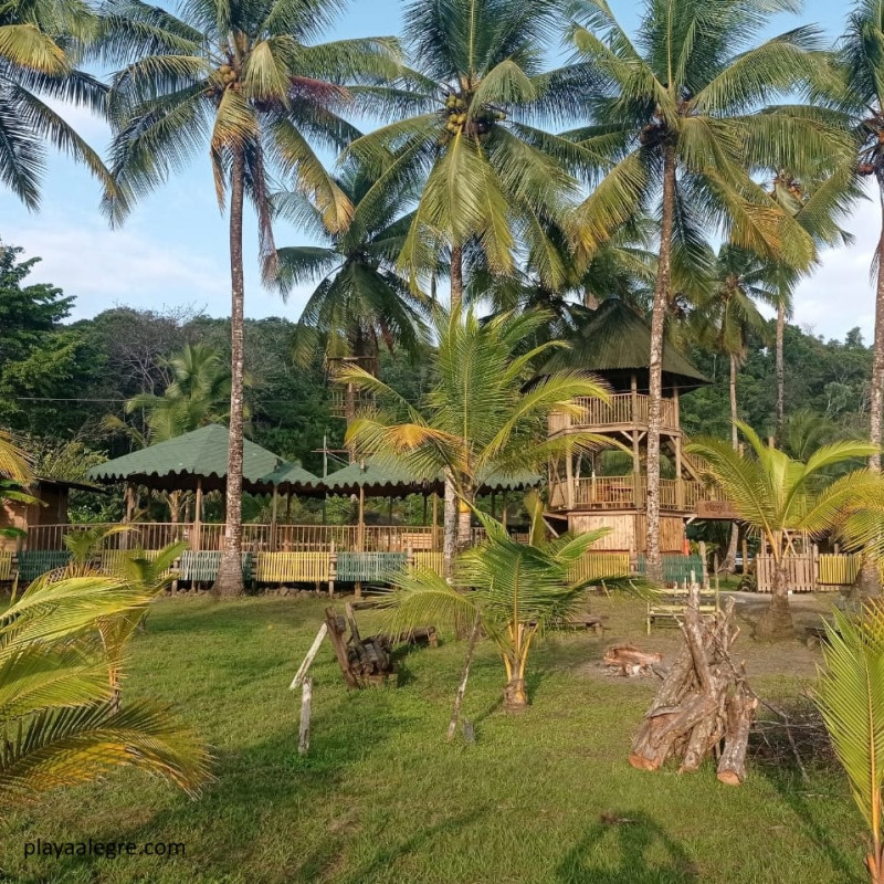 Bahía Solano - Plan Descanso Ecolodge Playa Alegre