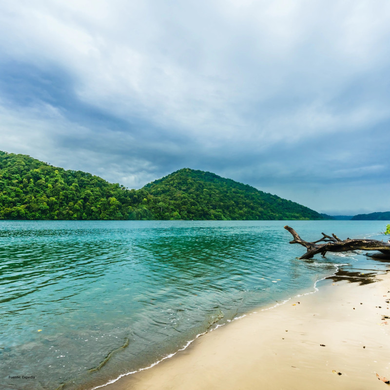 Bahía Solano - Plan Pacífico Mágico Ecolodge El Almejal