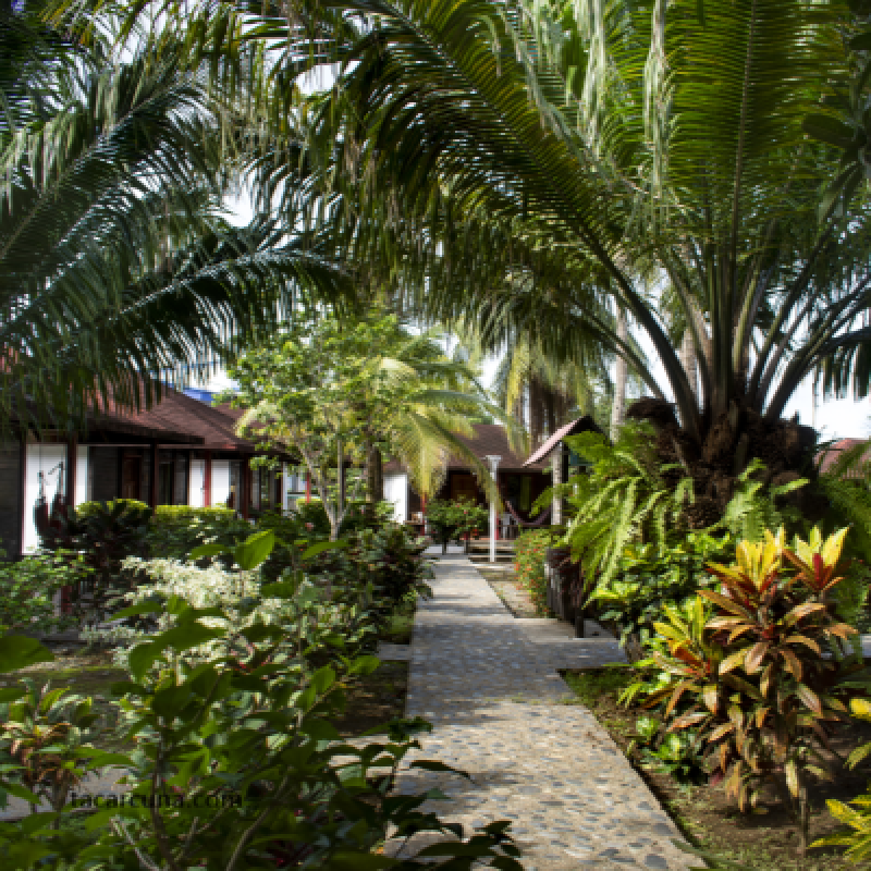 Capurganá - Hotel Tacarcuna