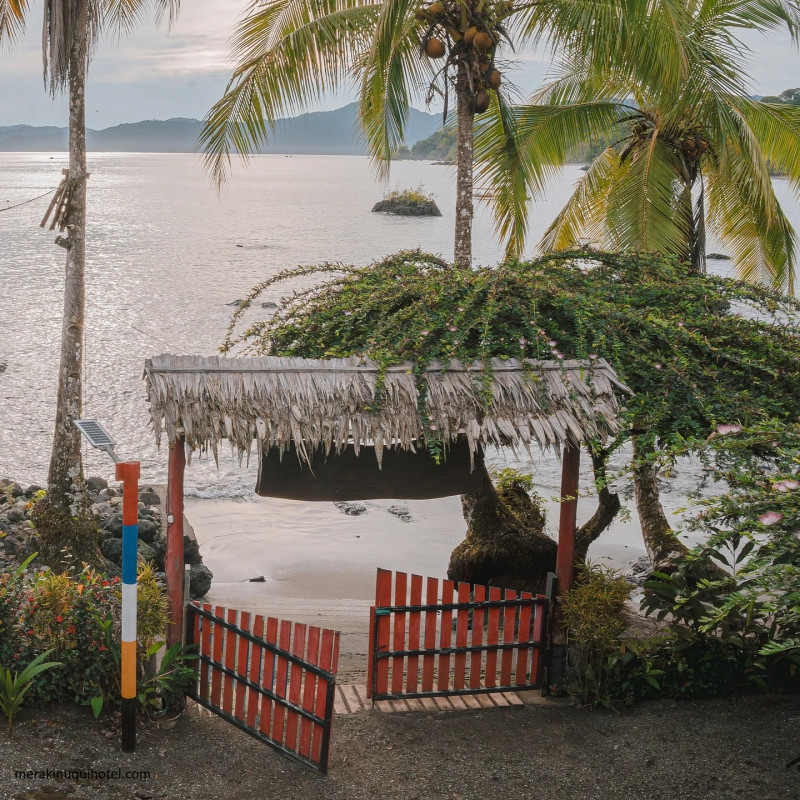 Nuquí - Plan Avistamiento de Ballenas Hotel Meraki