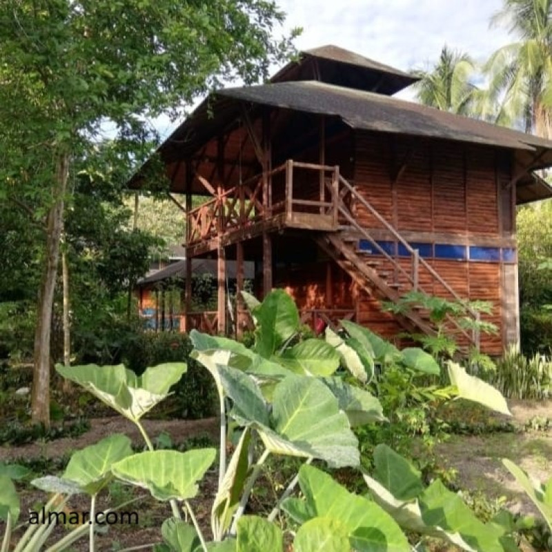 Nuquí - Plan Relajante Ecohotel La Joviseña