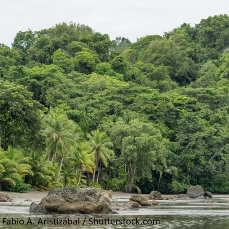 Nuquí - Plan Relajante Ecohotel La Joviseña