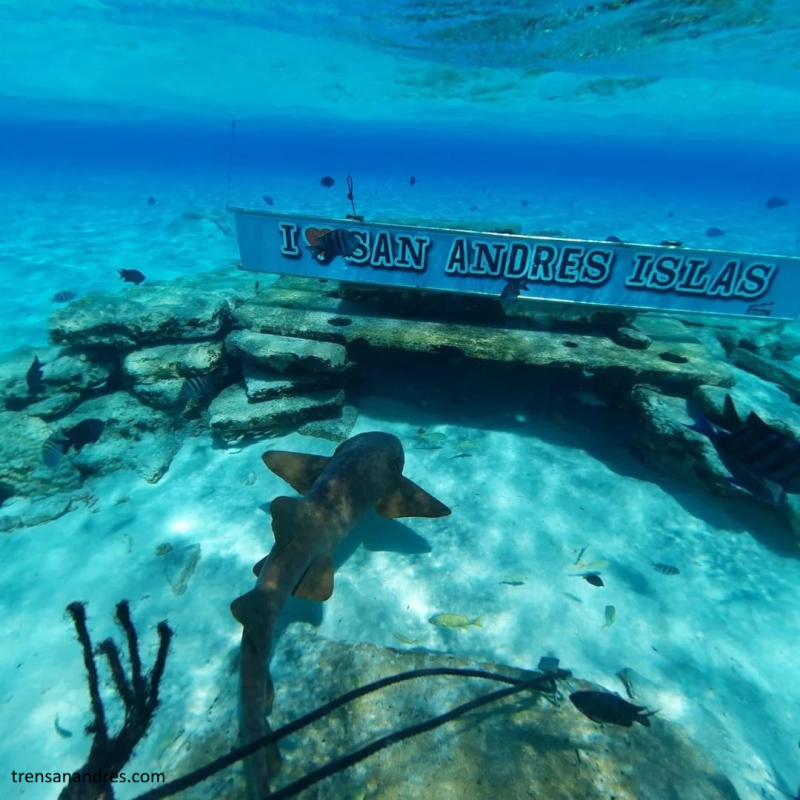 Quinceañeras - San Andrés Isla Hotel el Dorado