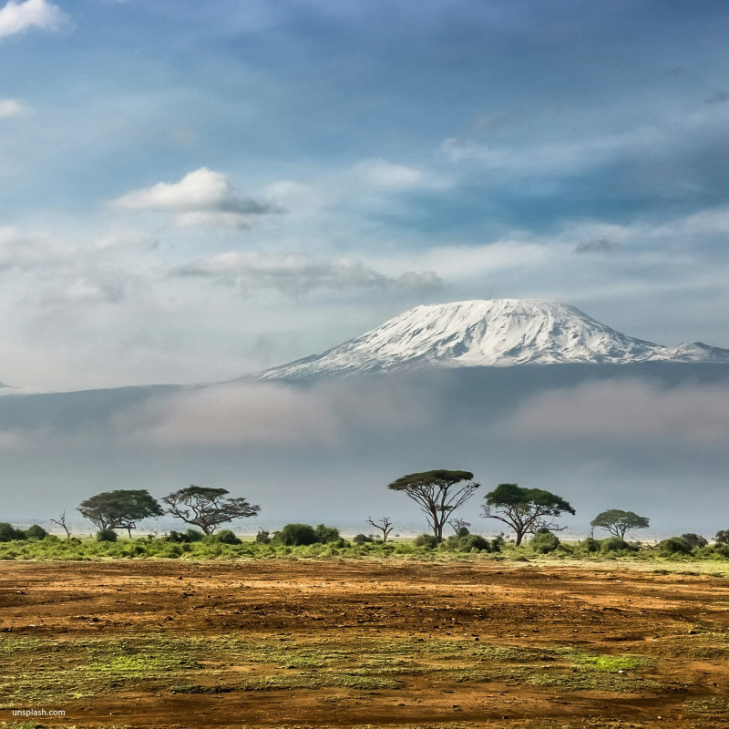 Safari áfrica, Kenia y Tanzania