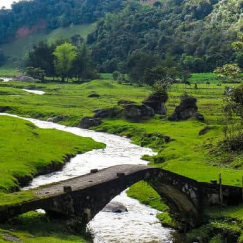 TOUR CONCEPCIÓN Y ALEJANDRÍA