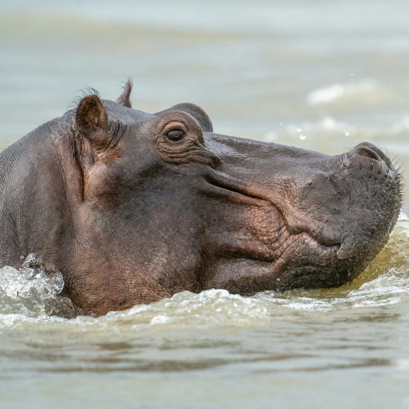 TOUR PARQUE TEMÁTICO HACIENDA NÁPOLES