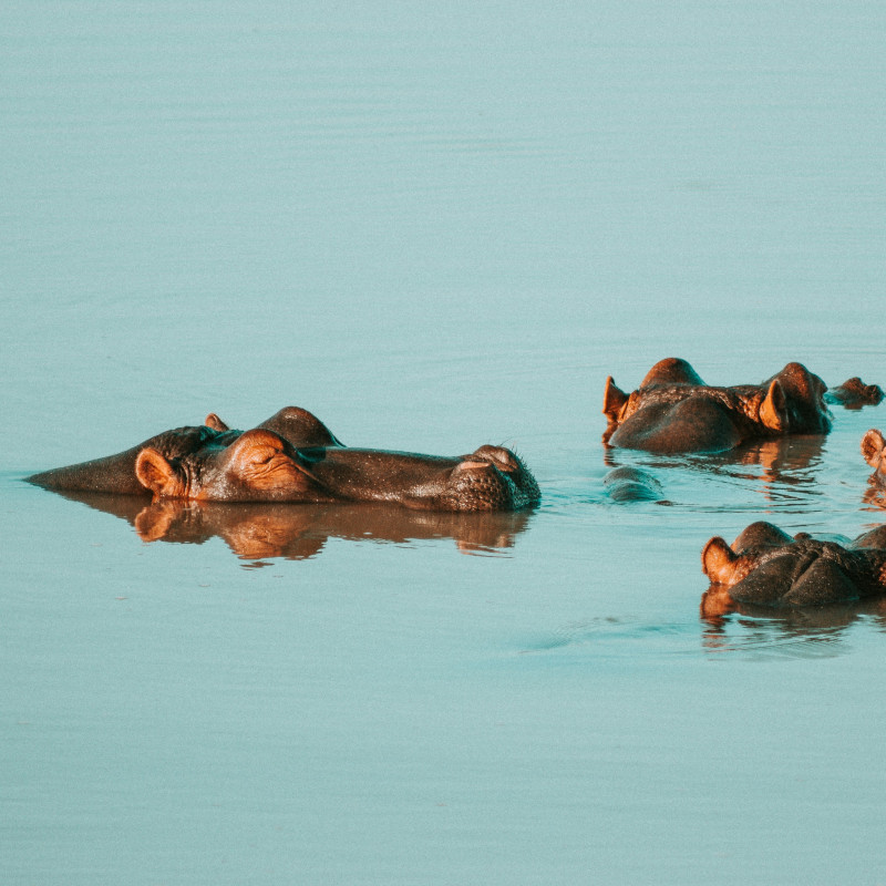 TOUR PARQUE TEMÁTICO HACIENDA NÁPOLES