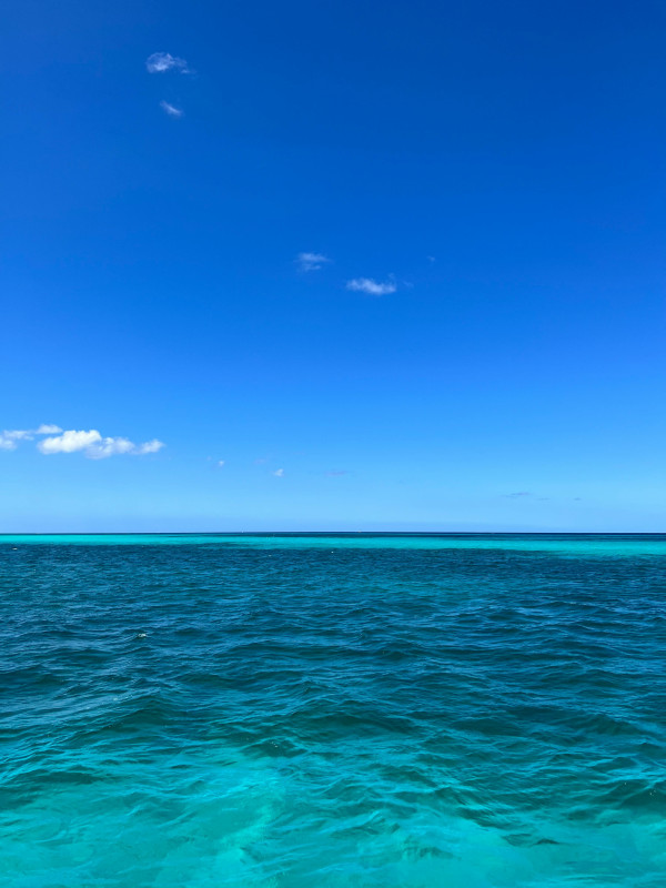 ARUBA LA ISLA FELIZ.